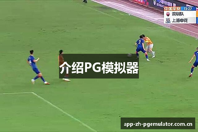 介绍PG模拟器